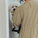 헤어멍펫살롱 이미지