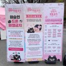 봉황교 주차장 | [2026 연화지 벚꽃축제 방문기] 김천 연화지 벚꽃축제 &amp; 개화상황・주차・포토존 후기