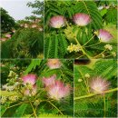 반룡마을회관 이미지