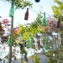 드림피드(주) 이미지