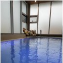 에이지하우스 키즈 | 쾌적하게 쉬어가기 좋은 제주도풀빌라 에이지하우스키즈 후기입니다