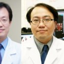 국내 연구진, CT 분석해 COPD 위험 환자 찾는 인공지능 개발 이미지