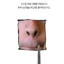 뽑기오빠뽑기언니 이미지