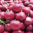 유림청과 이미지