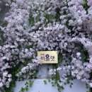 비올렛베이커리