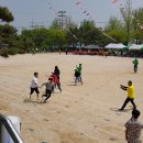 백사초등학교 이미지