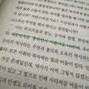 아름다운 나라 | 탄핵 시위 후기 : 대한민국은 흉하면서 아름다운 나라다