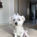 파리바게뜨(구서역점) 이미지