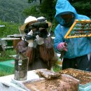 효선농장 이미지