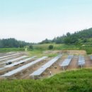 에버태양광발전소 이미지