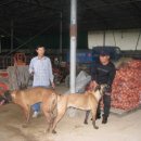 야야(YAYA) 이미지