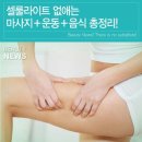 ＜ 셀룰라이트 없애는 마사지+운동+음식 총정리! ＞ 이미지