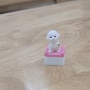 팬더PC | 포인트키캡 인디비주얼 비숑 맞춤제작 후기 키보드 키캡 교체방법 꿀팁