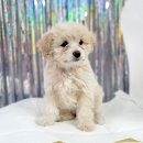 상대초등학교 이미지