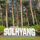 솔향수목원(암석원) | 우리나라 전국일주 버킷리스트 강릉가볼만한곳 강릉솔향수목원 여행후기,코스(3일편-2) /내돈내산 솔직후기