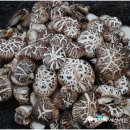 예찬농장 이미지