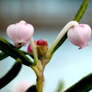 들꽃산장 이미지