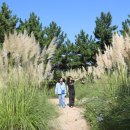 춤의정원 이미지