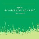 ＜전략가, 잡초＞ 이나가키 히데히로 저/김소영 역/김진옥 감수 | 더숲 | 2021 이미지