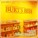 버츠비 가로수길 팝업스토어 방문! 크리스마스 선물세트