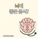 🍀 뇌에 좋은 음식 6가지 🍀 이미지