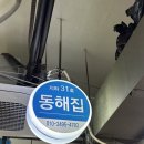 청년떡볶이의정부점 | [내돈내산 맛집리뷰] 동해집_의정부 제일시장 지하 음식백화점(청년 곱창타운), 의정부 혼술바 추천