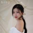 위스 이미지