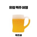 유럽의 술집 풍경을 떠올리다! 이미지