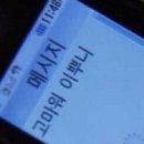 쌉P 둘이 일출 보러 떠난 강릉편
