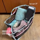 직장인 새벽수영 한 달 차 _ 11월/ 잠실종합운동장 수영장