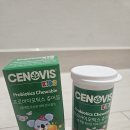 주부생활 홈캉스백 시즌41 당첨후기 :D