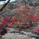 11일1(일)단풍여행!!시티투어.문경새재.세트장.점촌점빵길.고모산성.가은아개장터 이미지