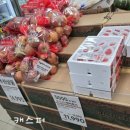 홈플러스 익스프레스 대치점 견과류, 과자, 유제품 구매, 과자, 냉동식품, 유제품, 음료수 2월 행사