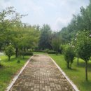 강당말공원 이미지