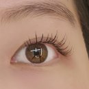 압구정속눈썹비알래쉬 | 압구정 속눈썹연장 꼼꼼래쉬 💖 LED 연장 후기