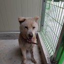 경동 모텔 이미지