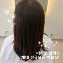 정문미용실 | 성서계대 미용실 추천 | 계대 미용실 디어엘헤어 계대정문점 수분클리닉 후기 | 현지 원장님