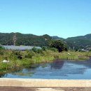 유구천변