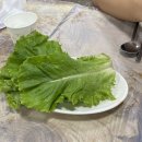 대학로꿀꿀이