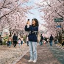 벚꽃길헤어 | 인천 벚꽃 명소 개화시기 맞춰 벚꽃길 다녀온 솔직 후기