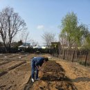 텃밭 | 강남구 세곡천 힐링텃밭 당첨후기: 초보 도시농부 봄 파종 도전