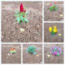 정연농장 이미지