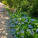 물맞이공원 | 무안 물맞이 치유의 숲