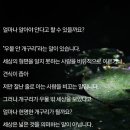 우물밖개구리 이미지