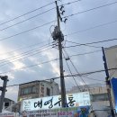 [강릉] 주문진 대게 맛집, 대영유통 가격 및 후기