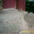 영모정(永慕亭) 이미지