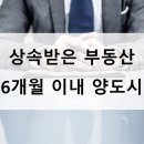 세무사홍석준사무소 이미지