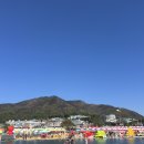 제15회 청송사과축제 | [청송] 2025년 청송사과축제 후기(25.11.1~2.)