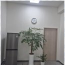 제주세무기장 제주 세무사와 함께한 성공적인 세무 관리 후기