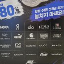 주차51 | 🐶 애견동반 이케아 강동점 솔직 후기